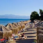 Brown Evia Island, In Eretria, A Member Of Brown Θέρετρο Ερέτρια