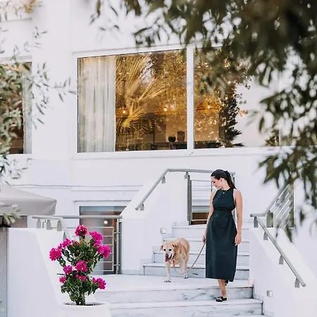Brown Evia Island, In Eretria, A Member Of Brown 에레트리아