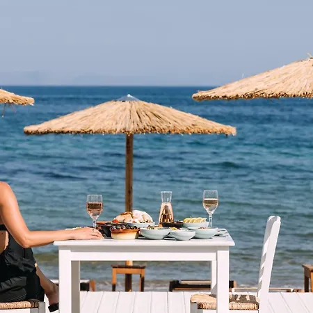 Brown Evia Island, In Eretria, A Member Of Brown Erétria