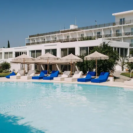 Brown Evia Island, In Eretria, A Member Of Brown