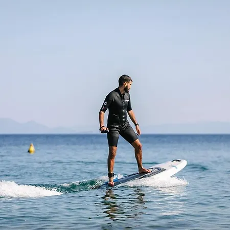 Brown Evia Island, In Eretria, A Member Of Brown