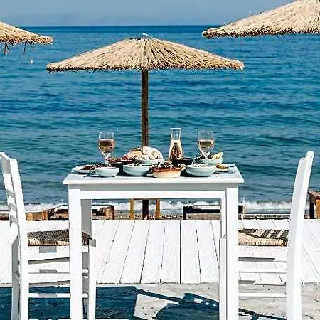 Brown Evia Island, In Eretria, A Member Of Brown