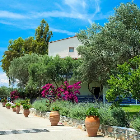 Brown Evia Island, In Eretria, A Member Of Brown