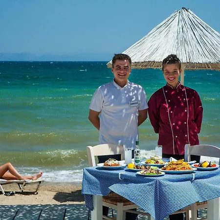 Brown Evia Island, In Eretria, A Member Of Brown