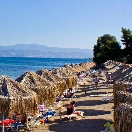 Brown Evia Island, In Eretria, A Member Of Brown منتجع إريتريا