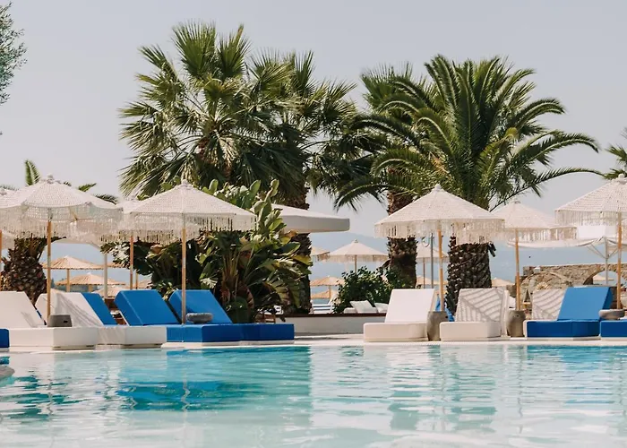 Brown Evia Island, In Eretria, A Member Of Brown