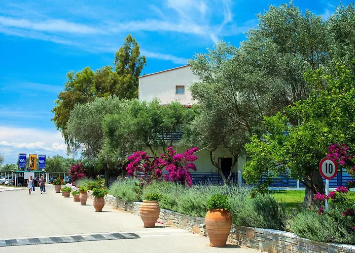 Brown Evia Island, In Eretria, A Member Of Brown